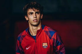 林智胜职业生涯回顾